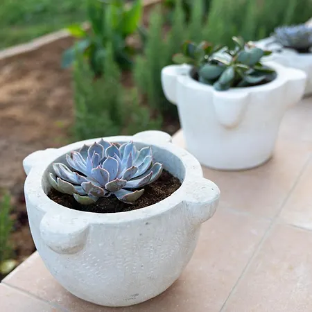 Ruby Pessada Villa Pesádha