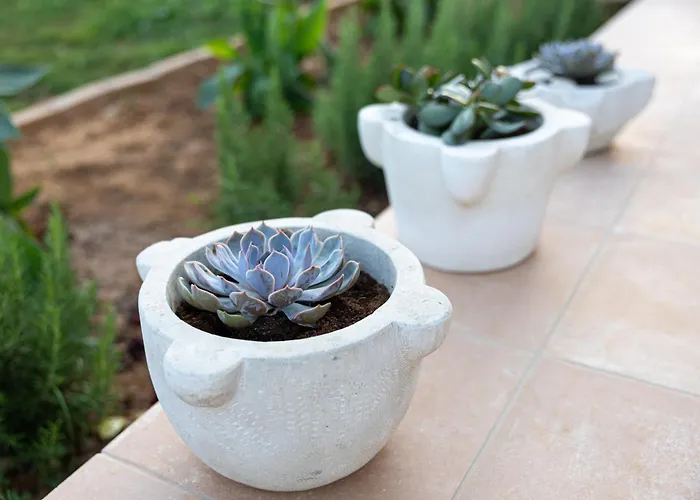 Ruby Pessada Villa Pesádha